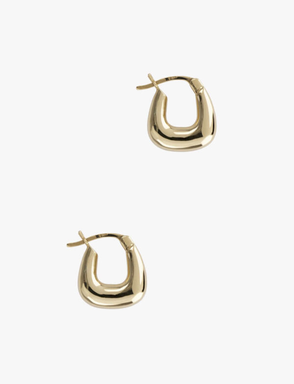 Graceful Hoop Earrings